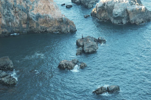 Sea - 2025 12