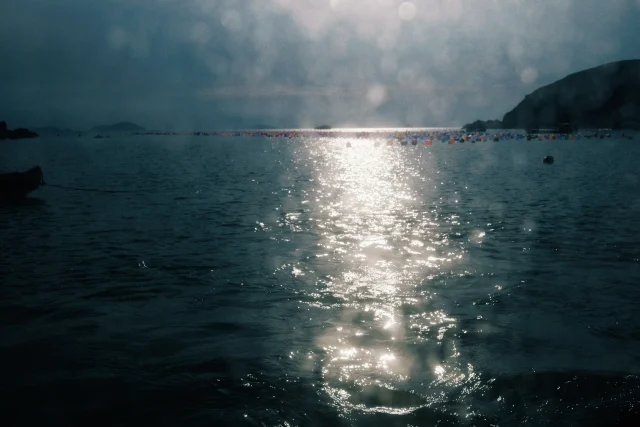 Sea - 2025 14