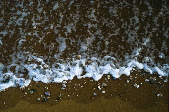Sea - 2025 19