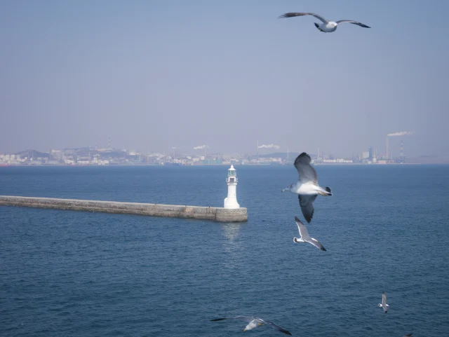 Sea - 2025 6
