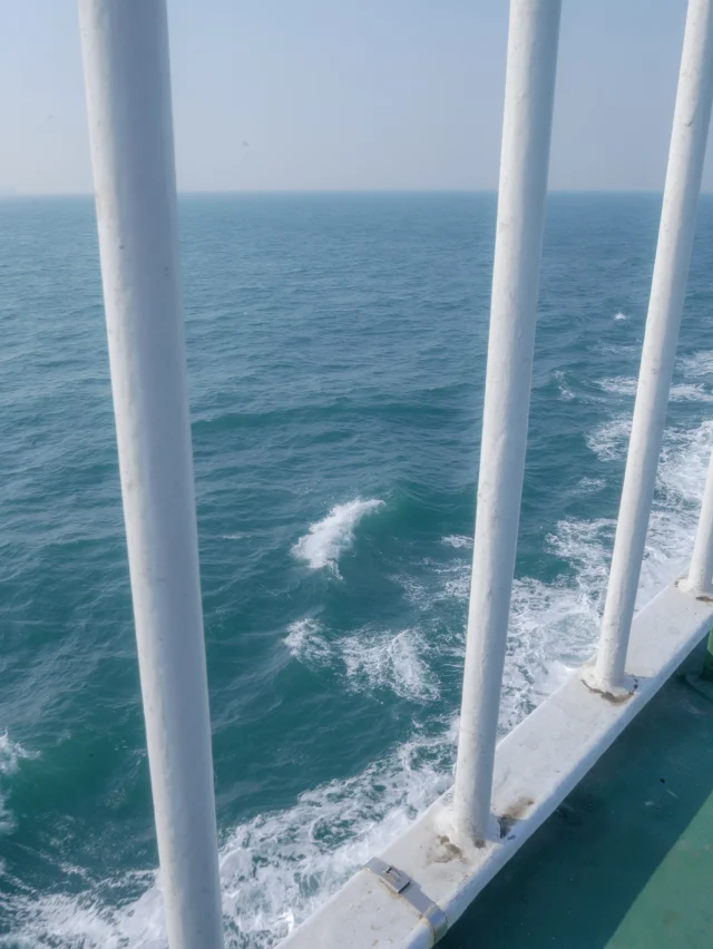 Sea - 2025 8