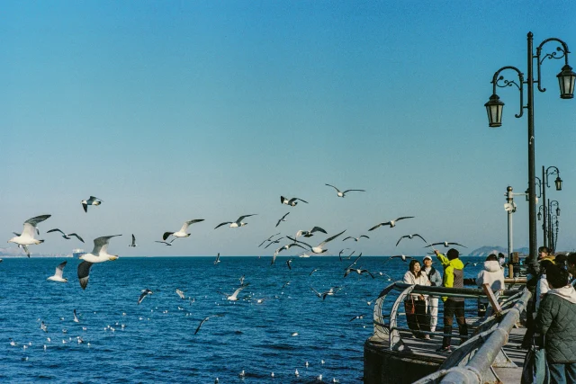 Sea - 2025 9