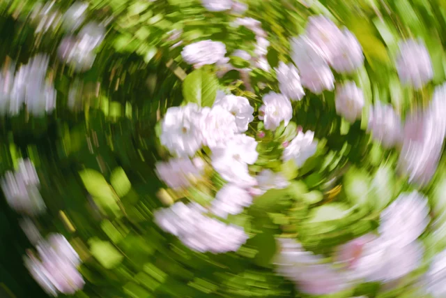 Spring 6