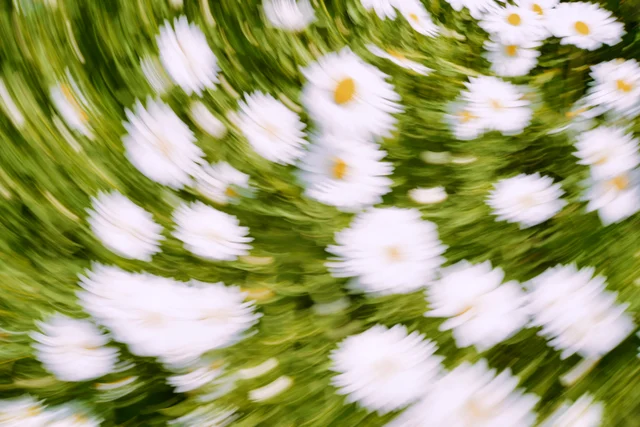 Spring 7
