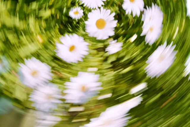 Spring 8